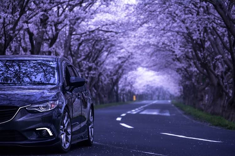 アテンザワゴンの桜と愛車・メテオグレーに関するカスタム事例の投稿画像6枚目