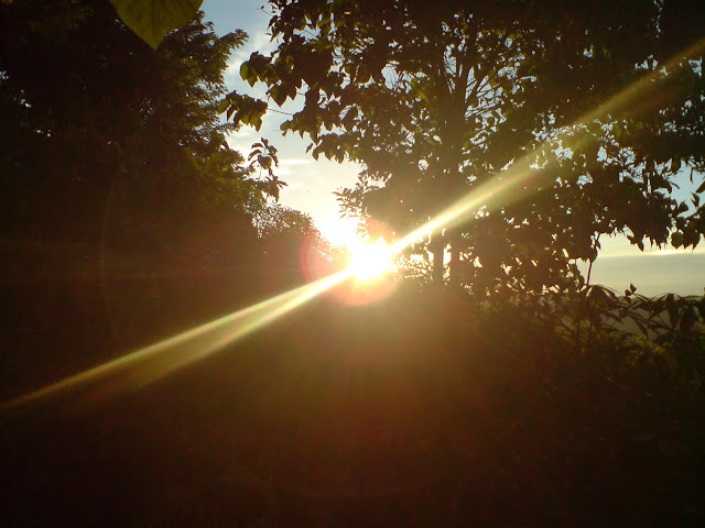 Light here is nothing but all magical