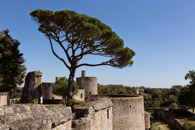 Château de Clisson