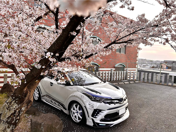 C-HRのたくさんのいいねやコメントをありがとうございました。・桜とコラボ・スマホで頑張る・会社帰りに・beyond_suvに関するカスタム事例の投稿画像1枚目