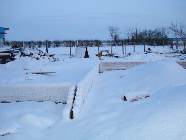 Snow%20capped%20footings.jpg