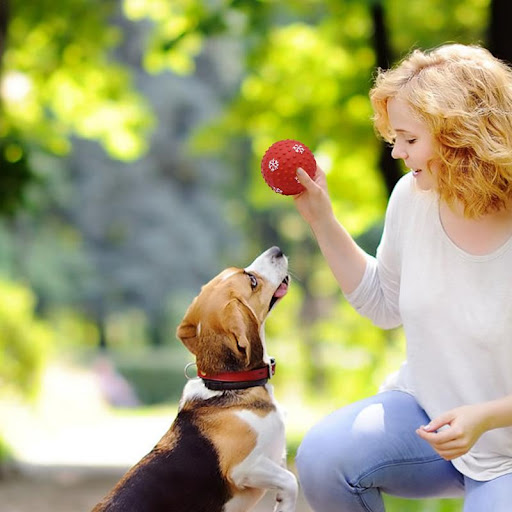Title 2, Dog Toys Balls Interactive Puppy Cat Chewing To...