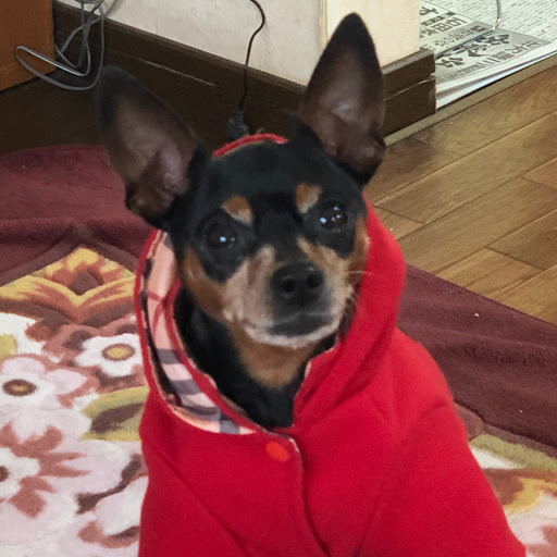 ラロッシュのプロフィール画像