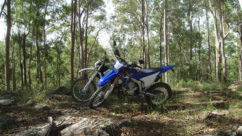 Blue 10 and a white 08 250R in the Aussie bush ...Continued DSC02418