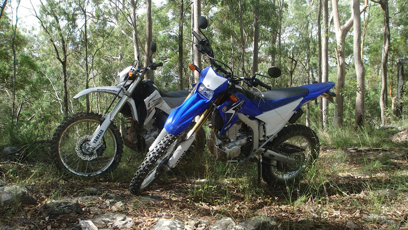 Blue 10 and a white 08 250R in the Aussie bush ...Continued DSC02419