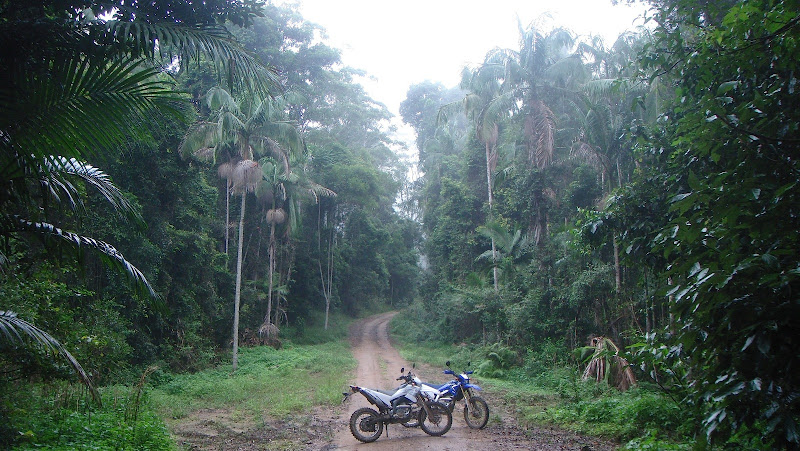 Blue 10 and a white 08 250R in the Aussie bush ...Continued DSC02495