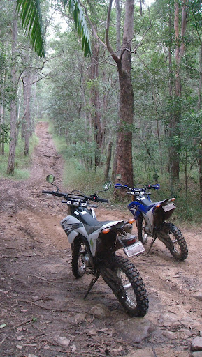 Blue 10 and a white 08 250R in the Aussie bush ...Continued DSC02501