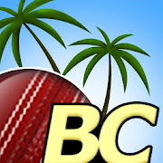 Beach Cricket Pro  Icon