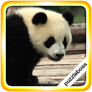 Jigsaw Puzzles: Pandas 1.8.8 Icon