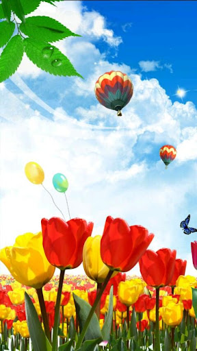 Camine Tulips Live Wallpaper