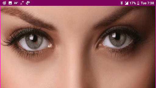 Learn Tamil Wildlife and Body Parts Names