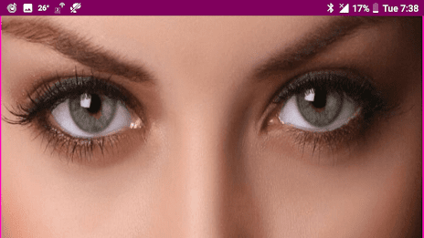 Learn Tamil Wildlife and Body Parts Names poster 15