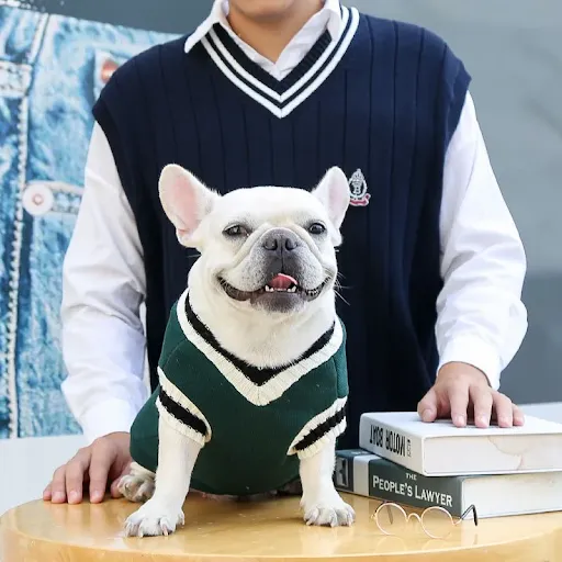 College Style Pet Dog Sweater Winter Warm Dog Clothes for Small Medium Dogs Puppy Cat Vest Chihuahua French Bulldog York