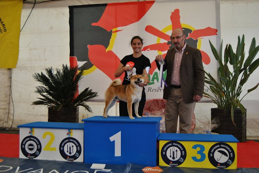 VIII Concurso Nacional Canino - X Concurso Canino de Lanzarote 2011 Yao2011