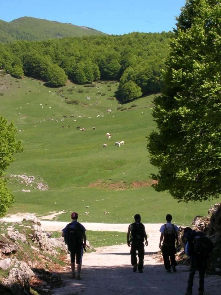 Lunga, la strada verso casa... di baratinha