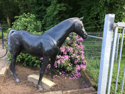 Paard Standbeeld