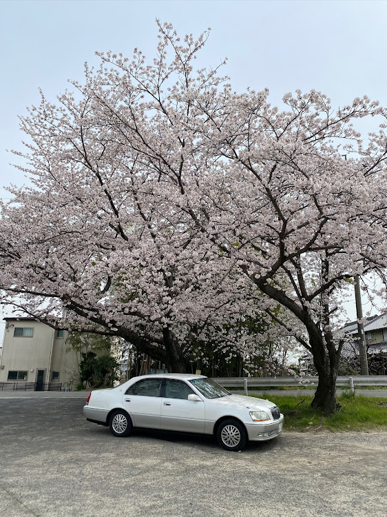 の投稿画像1枚目