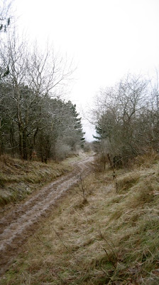 Dunes du Meijendel hiver 2011