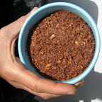 palet carotte chococafé