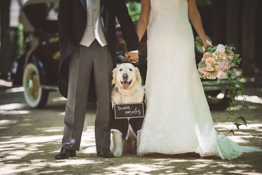 Fotógrafo de casamento Gabriel Monsalve (gabrielmonsalve). Foto de 27 de julho 2017