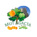 Cover Image of Download Mut Ağaçta 1.8 APK