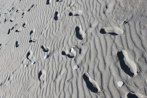 ORME SULLA SABBIA di GennaroCirigliano