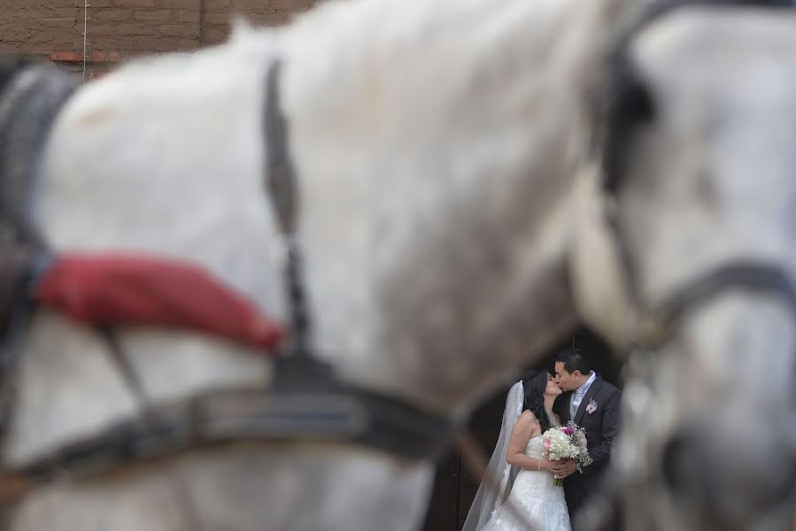 結婚式の写真家Julián Jutinico Avila (julijutinico)。2018 1月12日の写真