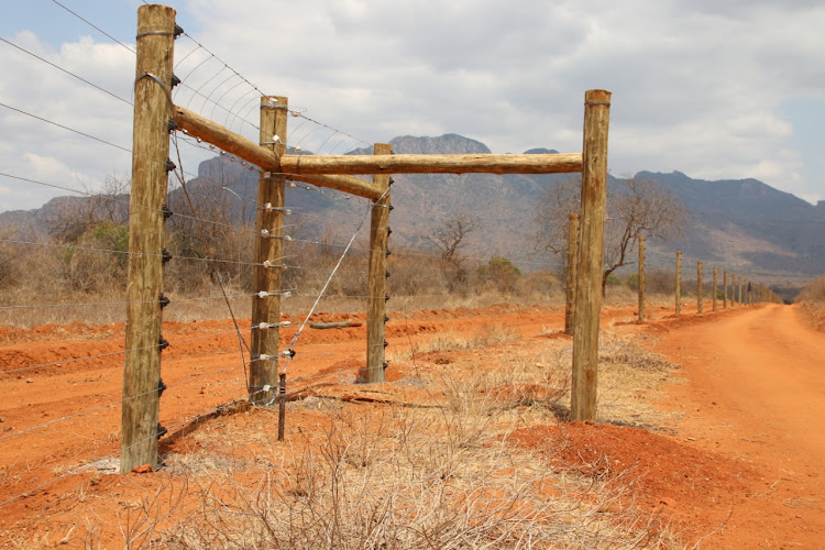 The newly rehabilitated Ngulia rhino sanctuary electric fence.