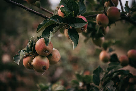 Bröllopsfotograf Heather Stone (tulleandtweedvic). Foto av 13 november 2019