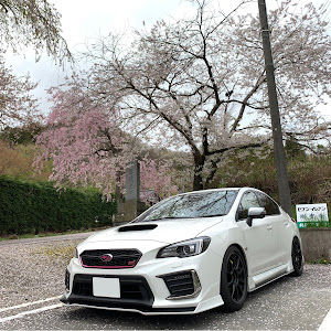 WRX STI VAB