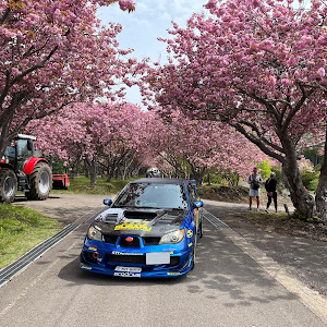 インプレッサ WRX STI