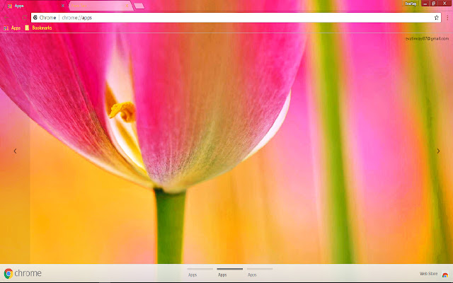 Colorful Flower Petal Pink chrome extension