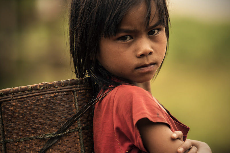 the coffee picker di enricodot