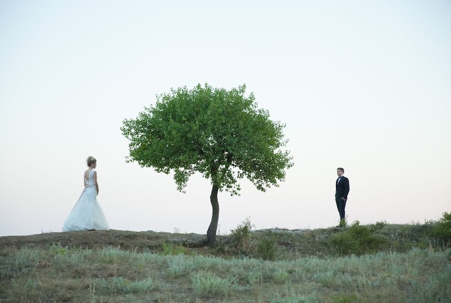 結婚式の写真家Aleksandr Ismagilov (alexismagilov)。2015 8月10日の写真