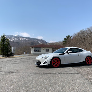 86 ZN6