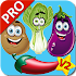 Vegetable Flashcards V2 PRO3.08