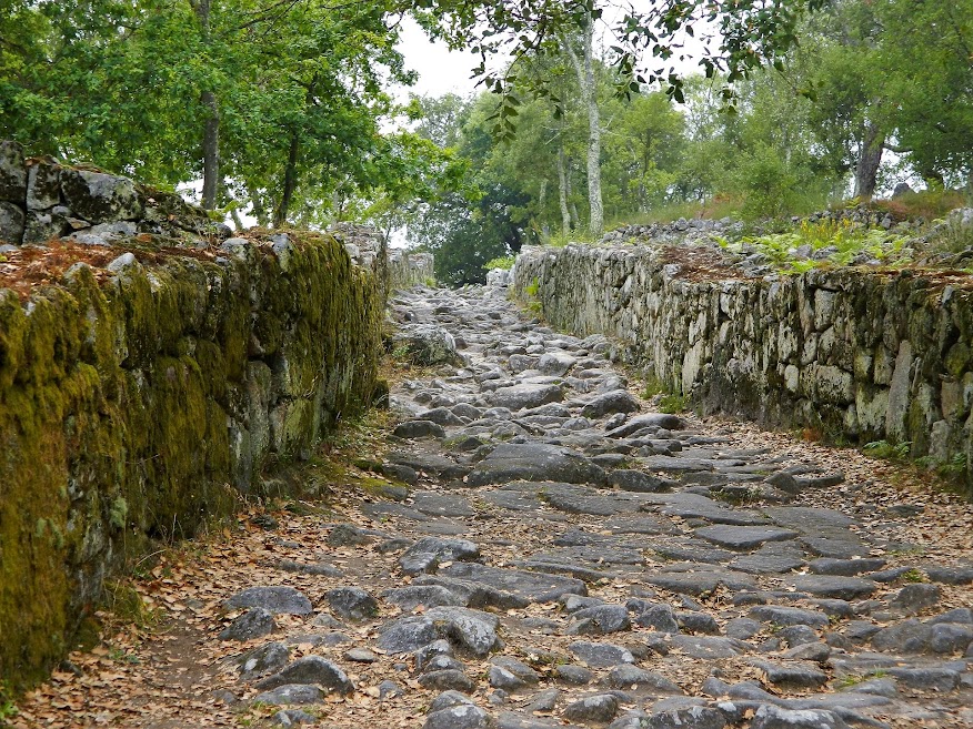 Citânia de Briteiros