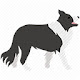 Border Collie Wallpapers HD Theme