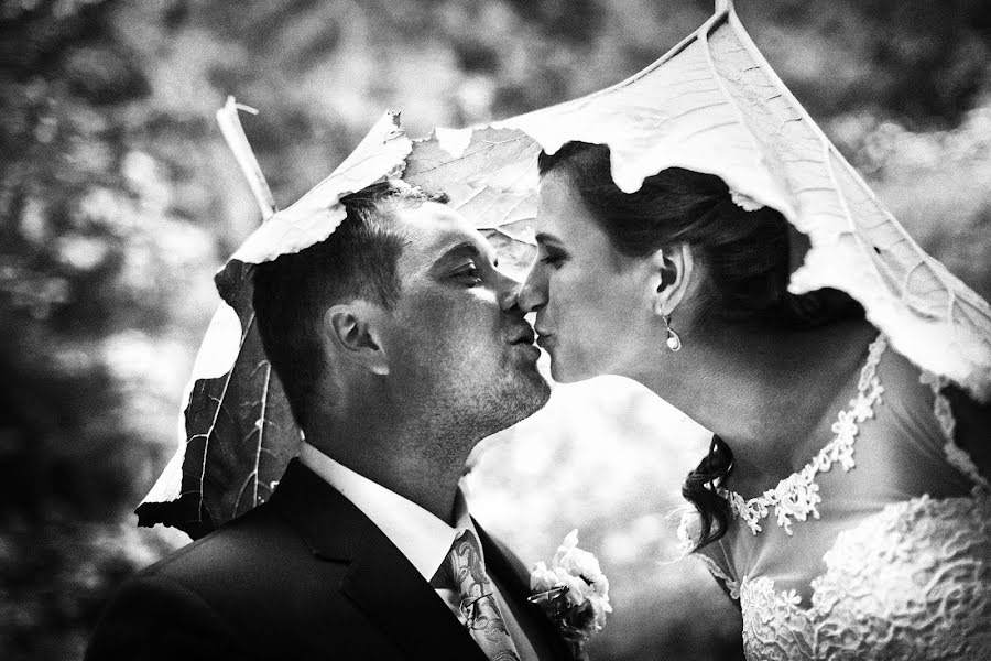 Fotógrafo de casamento Radim Tesarcik (luminia). Foto de 2 de agosto 2017