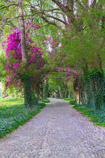 Luxury land for sale in Comonfort (Mexico)