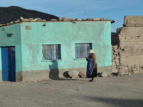 Chola de Sajama