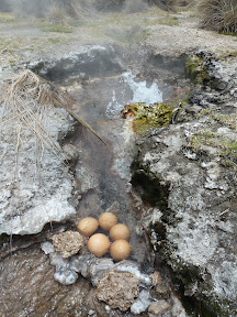 Cuisson des oeufs