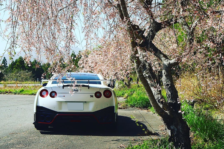 NISSAN GT-Rのサクラと愛車・R35・NISMO Special Edition・菜の花畑に関するカスタム事例の投稿画像4枚目