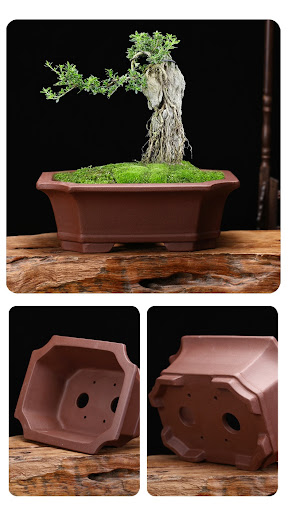 Title 1, Antique rectangular hexagonal purple sand flowe...