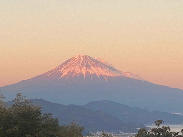 の投稿画像13枚目