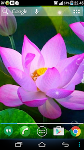 Pink Lotus Live Wallpaper Screenshots 0