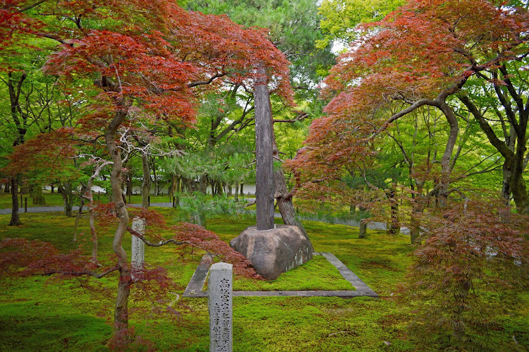 A typical Japanese style strolling garden.