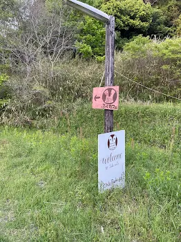 水野 麗華専用部屋