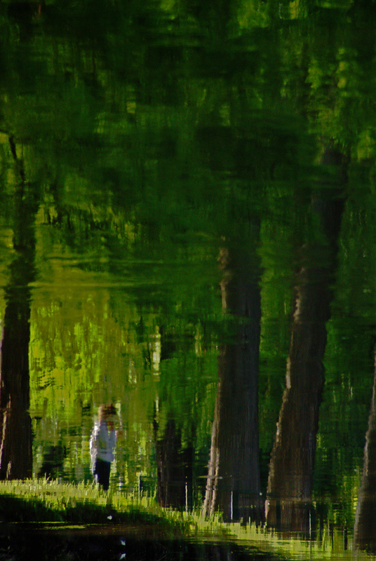 Passeggiata nel bosco di gianni87