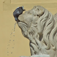 Leone ascendente fontana di 